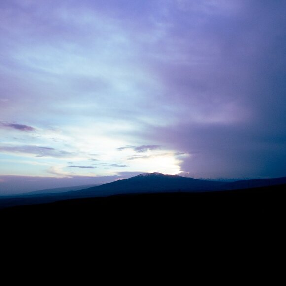 Meet your Posher, Micaela - Picture 1 of 1